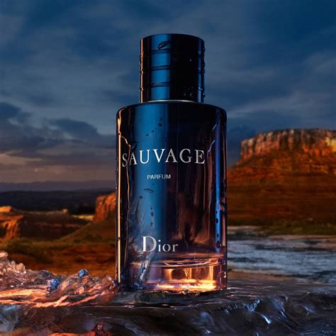 dior eau de parfum sauvage 100ml|dior sauvage parfum prix.